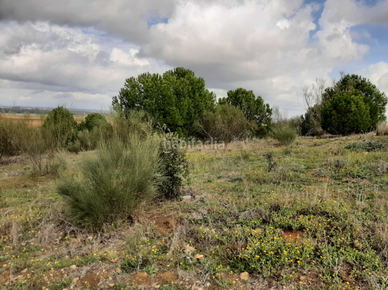 Foto 6ed42d93-ed82-4ed1-8c69-92031d23c130. Terreny residencial a Carretera de Sevilla - Los Montitos Badajoz