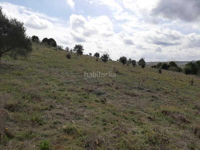 Foto 7df23ae7-5c37-4b9c-82a4-b7bb86d0f011. Terreny residencial a Carretera de Sevilla - Los Montitos Badajoz