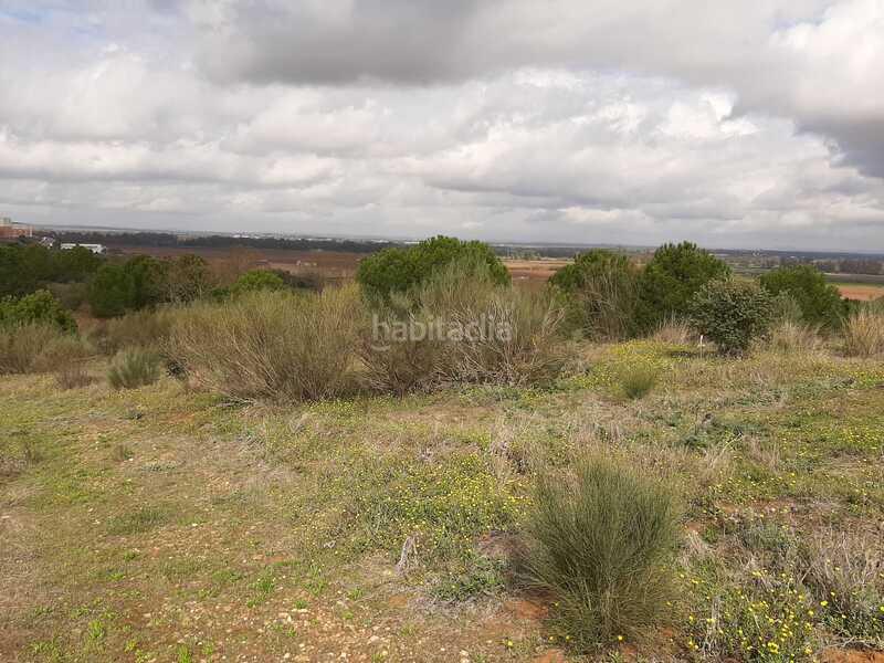 Foto 9d830354-42cb-49a6-a9d1-4e3b16725ac1. Terreny residencial a Carretera de Sevilla - Los Montitos Badajoz