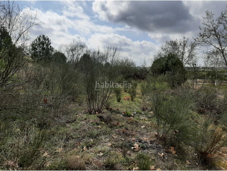 Foto a8d44358-1fea-43c4-9f27-f16af89fd04f. Terreny residencial a Carretera de Sevilla - Los Montitos Badajoz