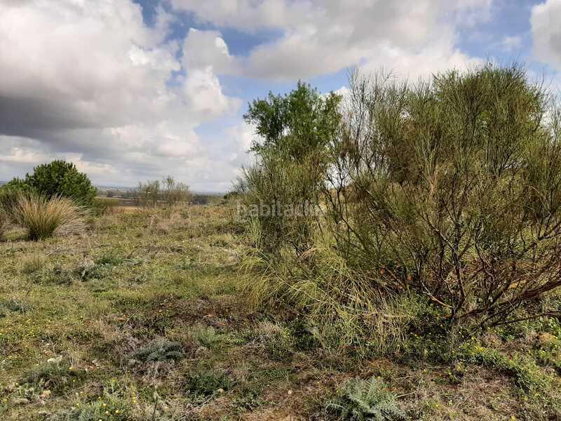 Foto db79c3d9-09f7-4af4-a2b7-1755bfe606fa. Terreny residencial a Carretera de Sevilla - Los Montitos Badajoz