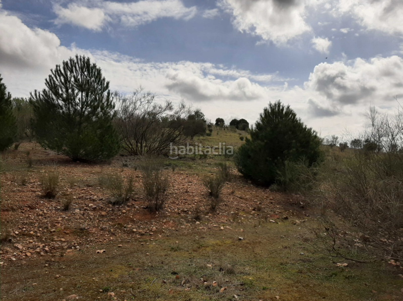 Foto db933a51-786a-4199-bee8-4e24d776e6b8. Terreny residencial a Carretera de Sevilla - Los Montitos Badajoz