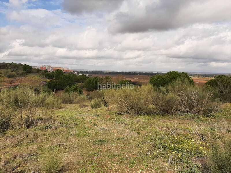 Foto eb189a96-8ca0-4477-9600-b3d5e7d08e09. Terreny residencial a Carretera de Sevilla - Los Montitos Badajoz
