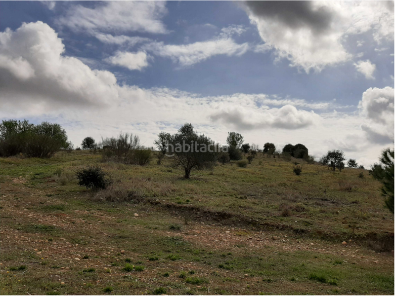 Foto f150d782-a0f2-4afd-8f20-7cda89389f8e. Terreny residencial a Carretera de Sevilla - Los Montitos Badajoz