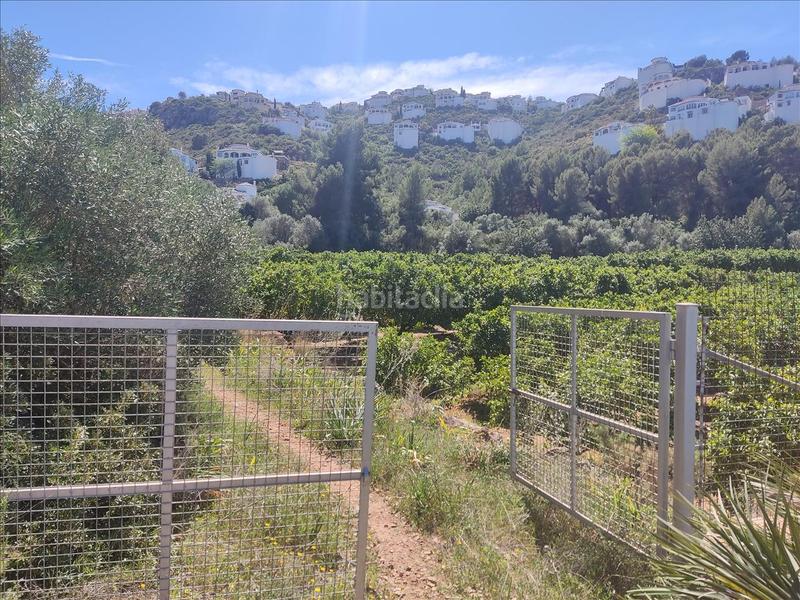 Foto 1ec1bacf-f246-4497-823f-9aff951b3c0e. Terreny residencial a Pego