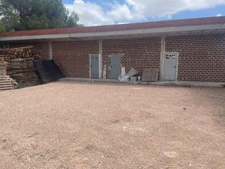 Local commercial  Del pino