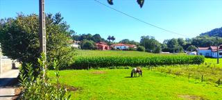 Terreny residencial  Golbardo