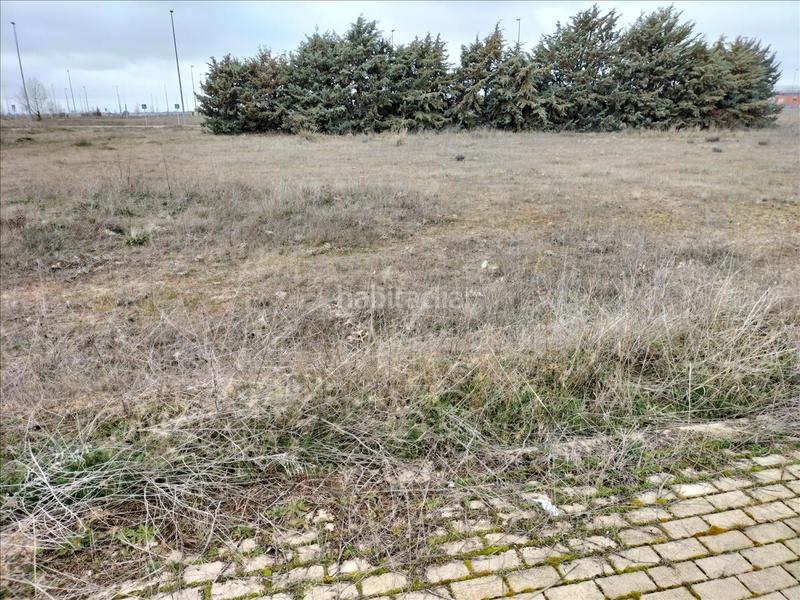 Foto edd6ff07-f6ae-4f36-ac2c-2379438bdbcc. Residential plot in Sónsoles Ávila