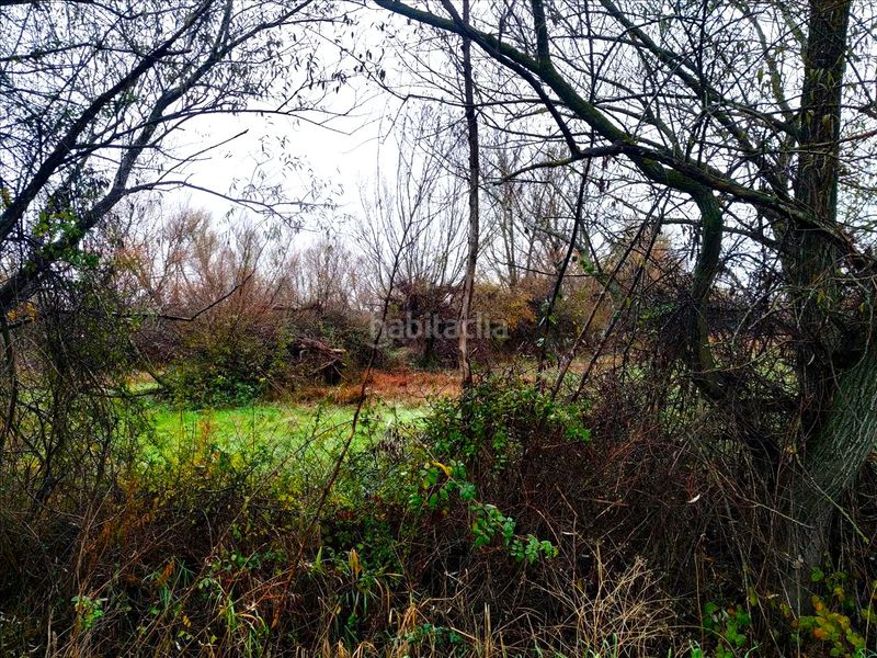 Foto f6aca041-cc1d-40b9-9096-1a720287e032. Terreny residencial a San Mamés - La Palomera León