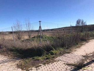 Terreny residencial  Diente de leon