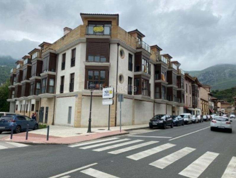 Foto f235e361-67c8-4f8e-939a-e0cb51eec12b. Appartamento in Peñamellera Baja