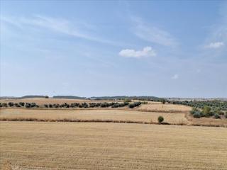 Terreny residencial  M.6 rc proy reparcel aa.7