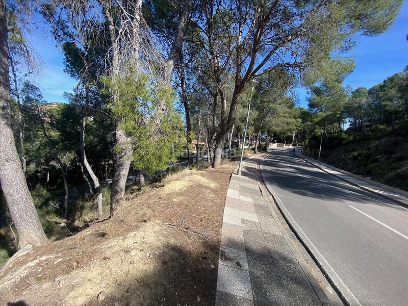 Foto bafb451e-f6b5-4f68-b716-571ae0729f41. Terreno residencial en El Bosque Chiva