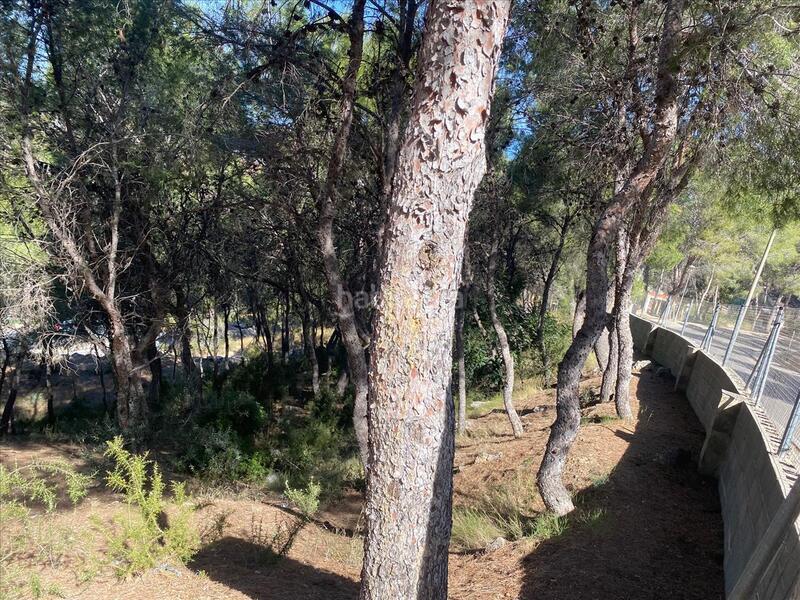 Foto 6ef9d16a-e883-4f2f-9d6b-cfb985cd3897. Terreno residenziale in El Bosque Chiva