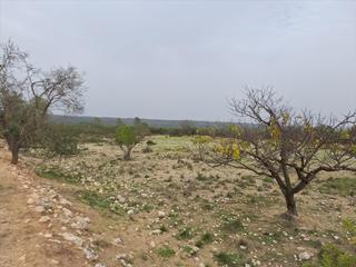 Terreny residencial  Paraje balsa blanca