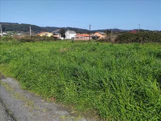 Terreny residencial  Catabois