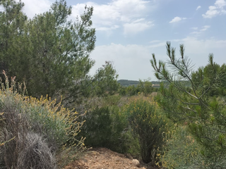 Residential Plot  Pta. chacarell pol 27, parcela 240