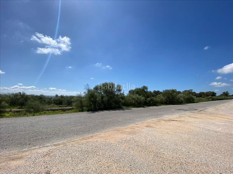 Foto 8f0e2152-d494-44c3-9115-a7d959169f2c. Terreny residencial a El Juncal - Vallealto Puerto de Santa María (El)