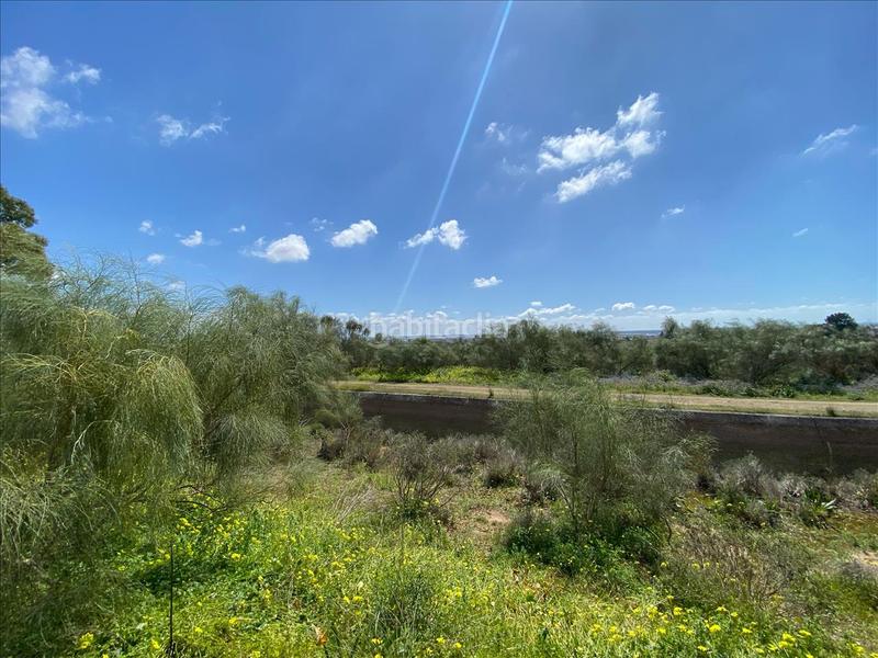 Foto af6ac4bd-517c-4995-8727-908f54c17fcb. Terreny residencial a El Juncal - Vallealto Puerto de Santa María (El)