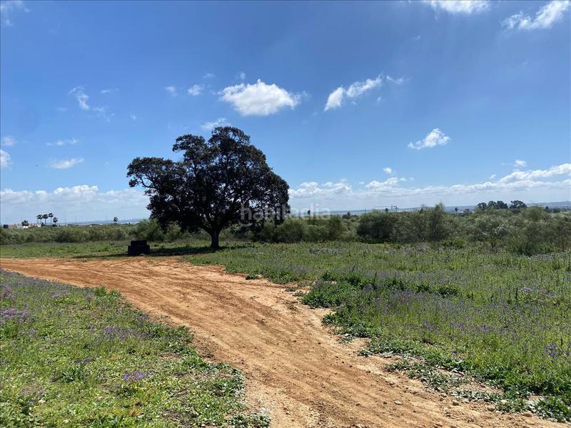 Foto c9ce1574-cb62-4826-9841-d7fd857196e3. Terreny residencial a El Juncal - Vallealto Puerto de Santa María (El)