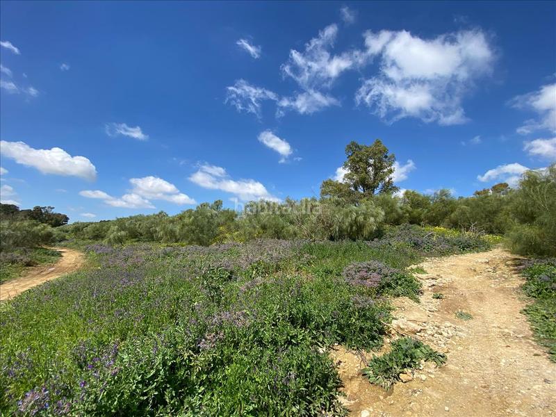 Foto 23b784fd-286a-40ab-b360-bd9d88883f84. Terrain résidentiel dans El Juncal - Vallealto Puerto de Santa María (El)