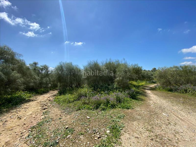Foto cd28473f-abef-49f3-af72-15d95d327e65. Terrain résidentiel dans El Juncal - Vallealto Puerto de Santa María (El)