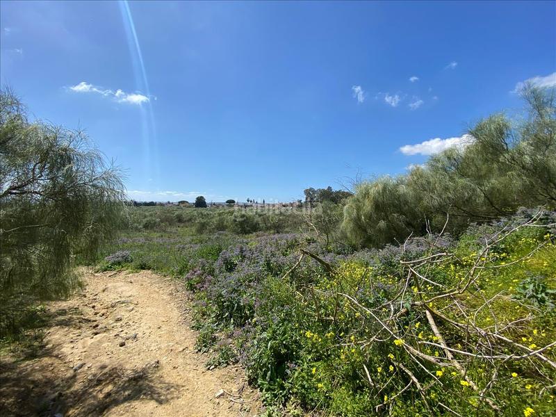 Foto 32e3b1b7-f402-4825-84ab-c12966a3cebc. Terreno residenziale in El Juncal - Vallealto Puerto de Santa María (El)