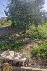 Terreny residencial  Partida bovalar
