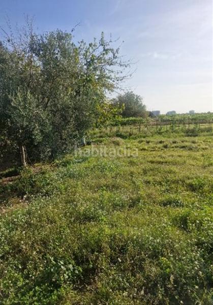 Foto a030e2f6-6afd-4b3c-952c-43c179e17c67. Terreno residencial en La Torre-Playa de Chilches Moncofa