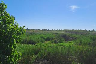 Terreny residencial  Partida bovalar