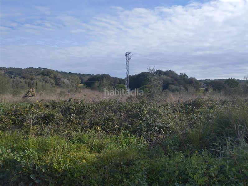 Foto 6c71d0a2-d3f4-45dc-aa31-5ddcb0eb22e3. Residential plot in Piverd-Vila-Seca-Bruguerol Palafrugell