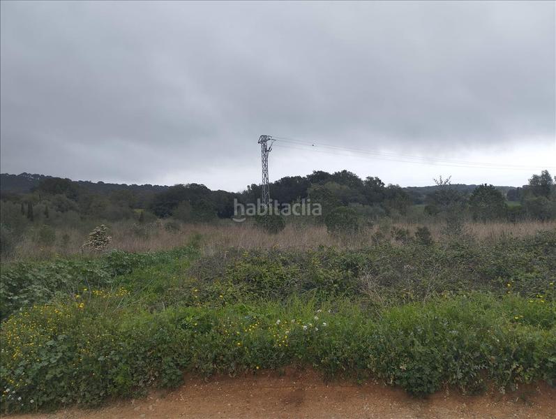 Foto 4e91e54e-5d99-4dc4-8e23-c41c64266c03. Terreno residenziale in Piverd-Vila-Seca-Bruguerol Palafrugell