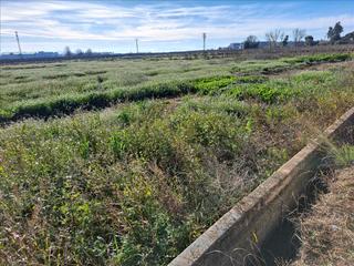 Residential Plot in 25 (COMARCA LA RIBERA ALTA - PARAJE EL PLA).74