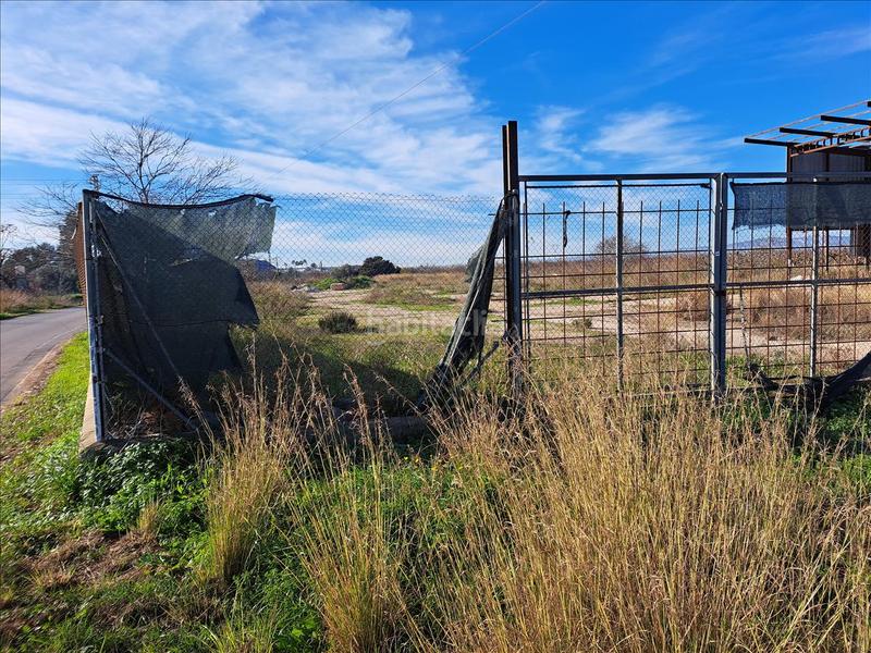 Foto 8d55e2d8-7ace-4872-820e-753085c65a2c. Terrain résidentiel dans Carlet