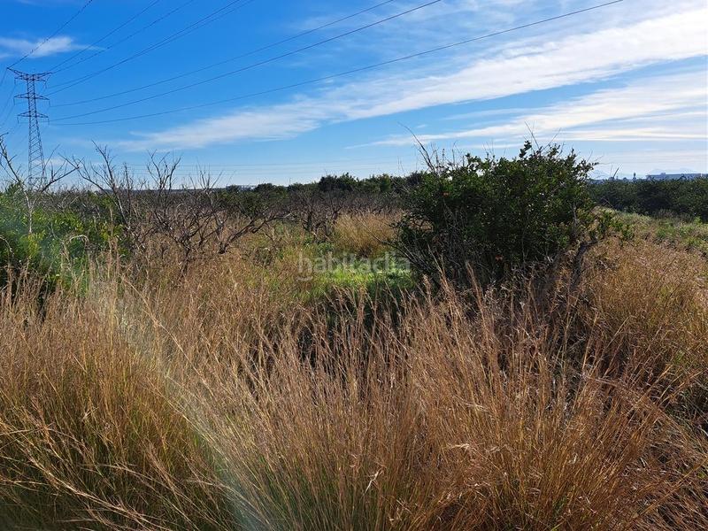 Foto 96845b0c-9e28-4e71-baa3-516fef744314. Terrain résidentiel dans Carlet