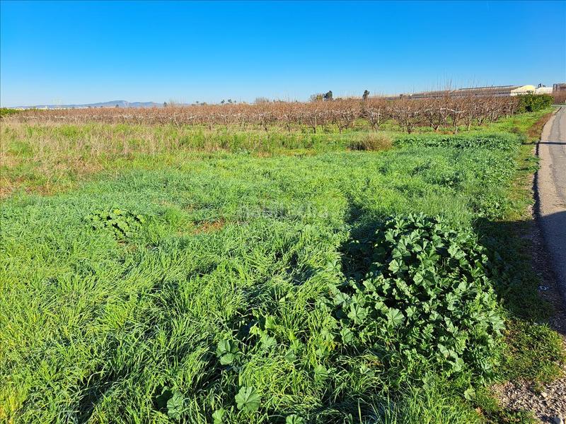 Foto ce8267cc-c718-4052-ad5e-15b40798eff6. Terrain résidentiel dans Carlet