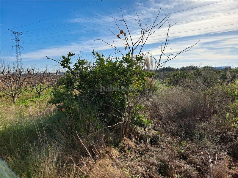 Foto fedc8c74-c763-49e7-92bc-77244fe93a6b. Terrain résidentiel dans Carlet