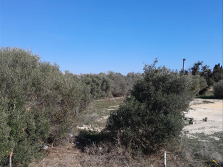 Terrain résidentiel  Barberes sur
