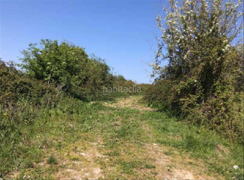 Foto ff9416a5-5d33-40b7-af33-65828ce78883. Terreno residencial en Bernueces Gijón