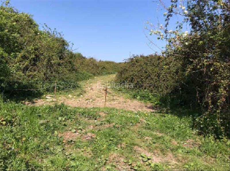 Foto 3369b91b-2f31-42c6-ba39-8f0d5acd3acf. Terrain résidentiel dans Bernueces Gijón