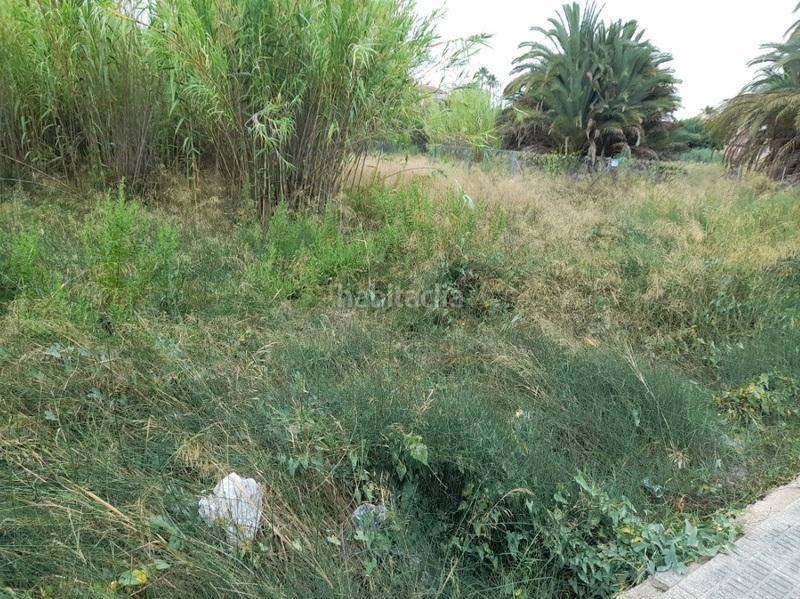 Foto 7654f628-f4c9-4b69-9313-57263eb83520. Terreny residencial a Zarandona Murcia