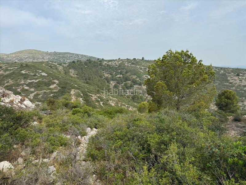 Foto 141937e7-3d03-4c75-aca7-b447a3c758b1. Residential plot in Las Atalayas-Urmi-Cerro Mar Peñíscola