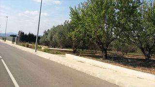 Terreny residencial  Paraje partida frechinals