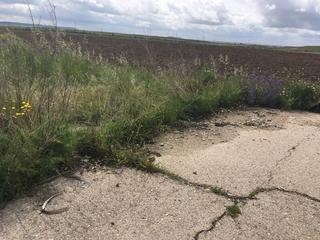 Terrain résidentiel à DE SANTA JUANA (POLIGONO 5, PARCELA 50, S-14)