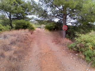 Terreny residencial  Pontazgo;polig 6 parc 143 264