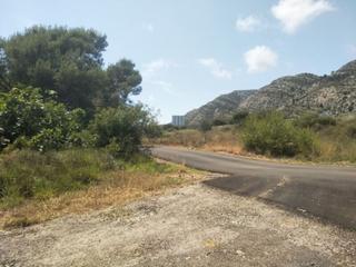 Terreno residenziale in PL NÚMERO