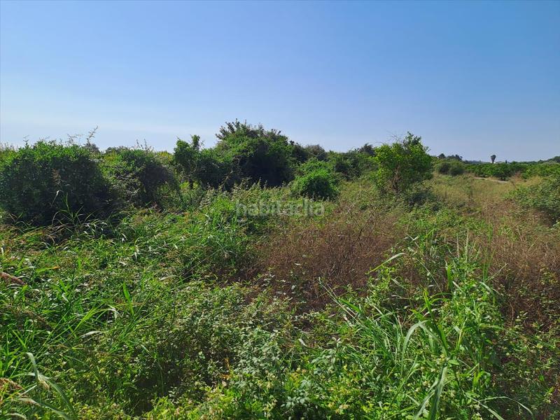 Foto d66d6758-3608-44cd-9774-0b53ca417305. Wohngrundstück in Chilches