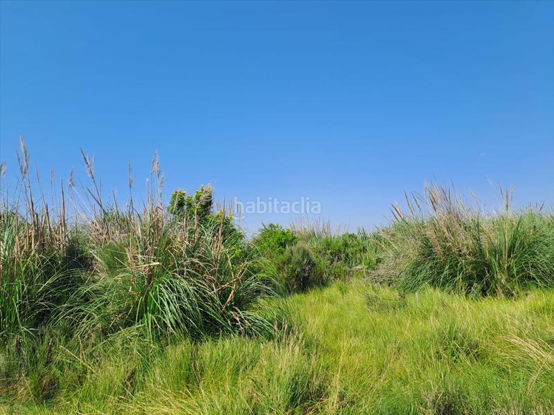 Foto 0b5a7031-2d35-402b-9f80-b5959dd432d7. Terreno residencial en Chilches