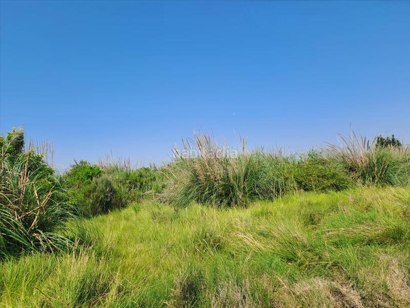 Foto 8486d541-c8c0-45d0-a022-19deb8371728. Terreno residencial en Chilches