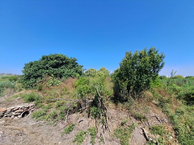 Foto 723e1672-124b-4f50-a9a1-42236ffb4f99. Terreno residenziale in Chilches